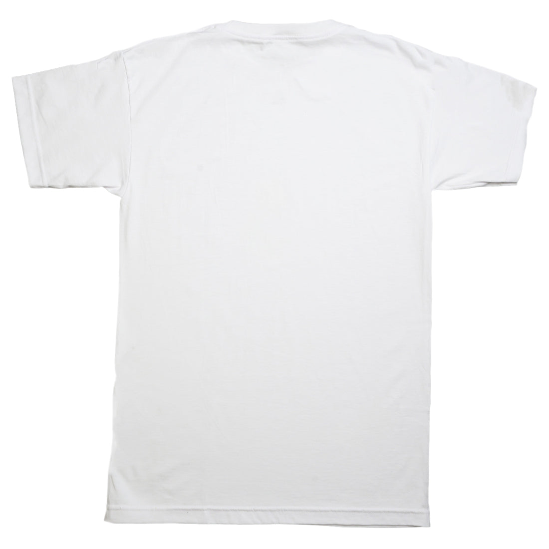 WES LANG AND BAIT MEN EAGLES FILL THE SKY TEE (WHITE)